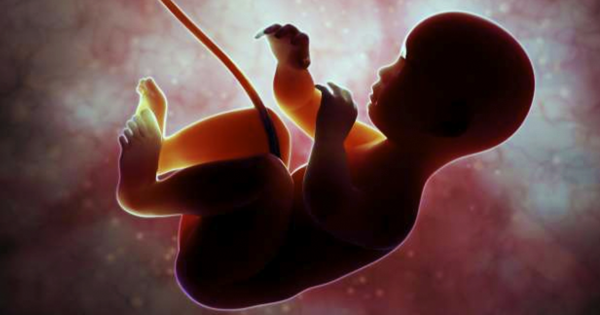 [VIDEO] Así se mueven los bebés en el vientre de mamá