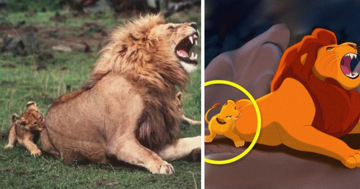 13 fotos de animales que son la copia exacta de personajes de Disney