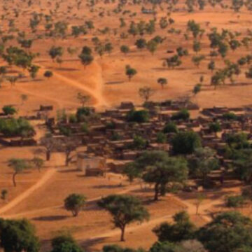 Encuentran millones de árboles en el desierto del Sahara