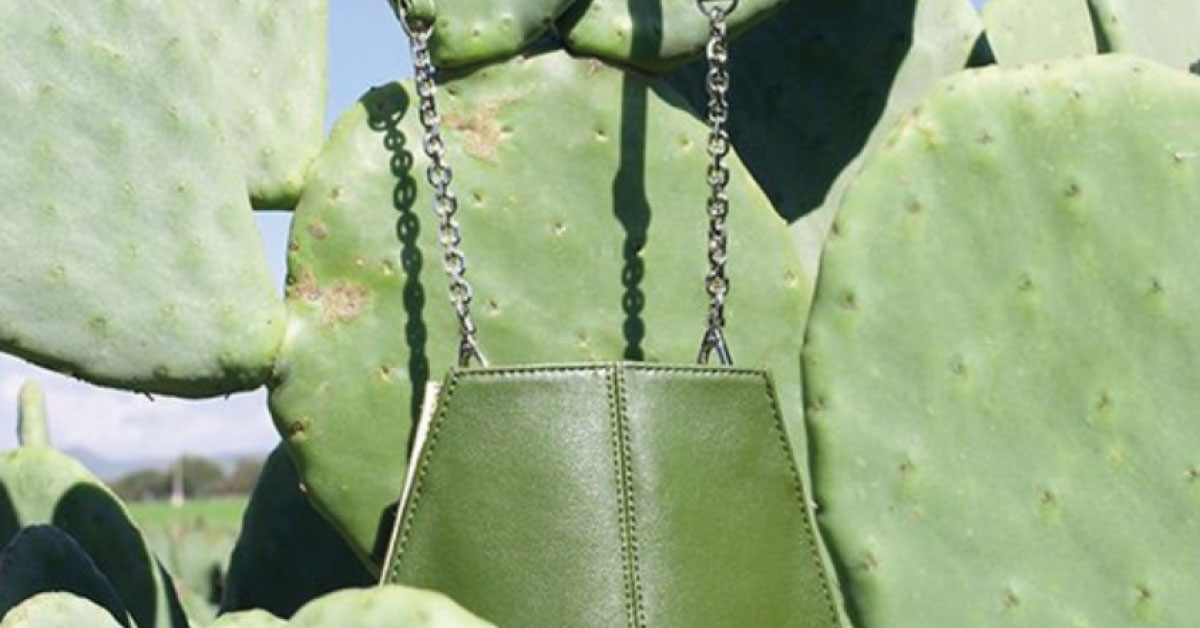 Inventan «cuero» a base de cactus, es amigable con el ambiente y libre de crueldad animal