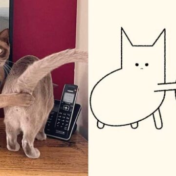 Este artista convierte fotos de gatitos en divertidas caricaturas