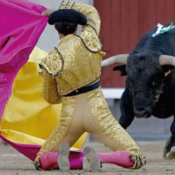 ¡No más corridas de toros!, un juez ordena la suspensión de la Plaza México tras casi 100 años de historia