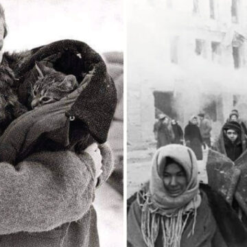 La increíble historia de Vaska, el gato que salvó a su familia de humanos y les llevaba comida