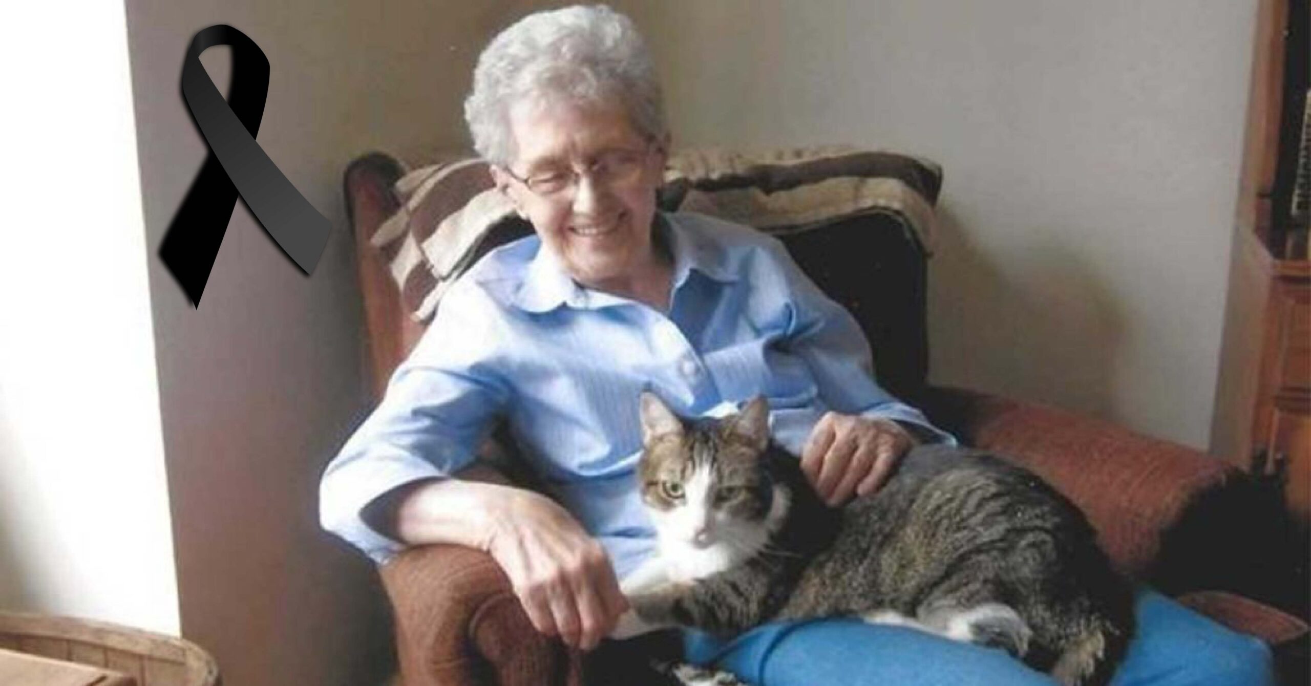 Abuelita y su gata pierden la vida con pocas horas de diferencia. Eran inseparables