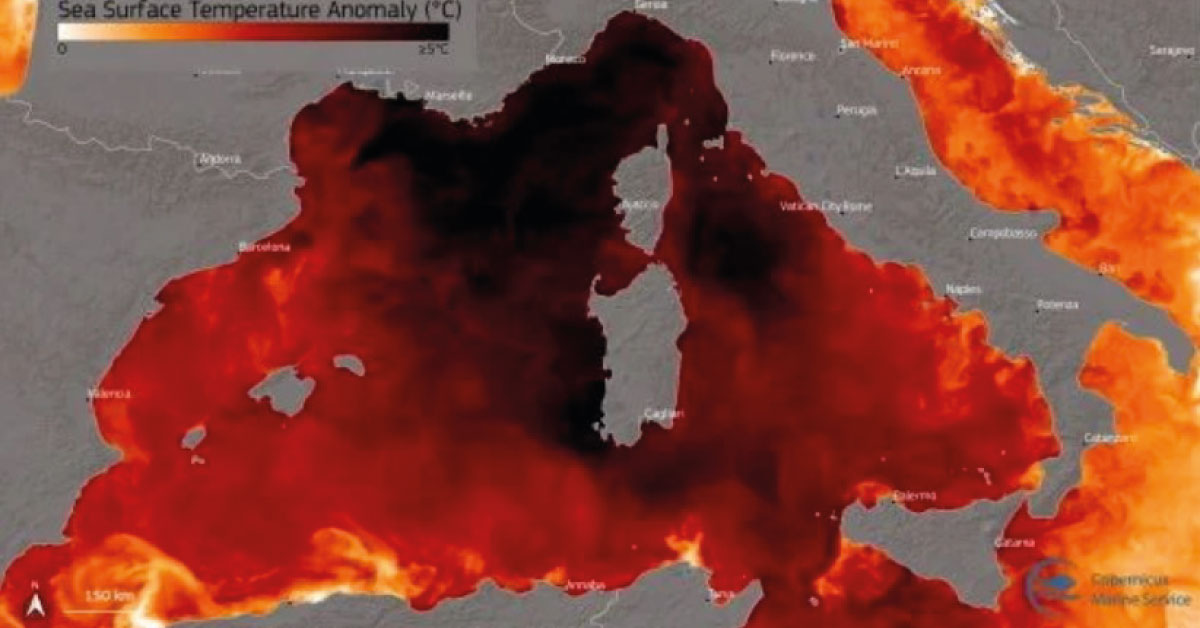 El Mar Mediterráneo “arde” en temperaturas sin precedentes.