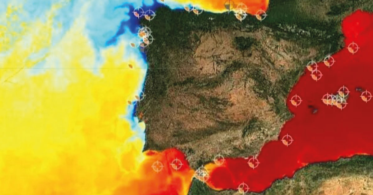 Temperaturas récord en el Mediterráneo, el mar está «hirviendo»