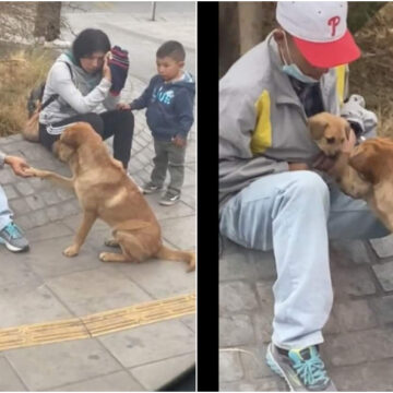 Perrito se acerca a saludar muy tiernamente a un extraño y su cachorro
