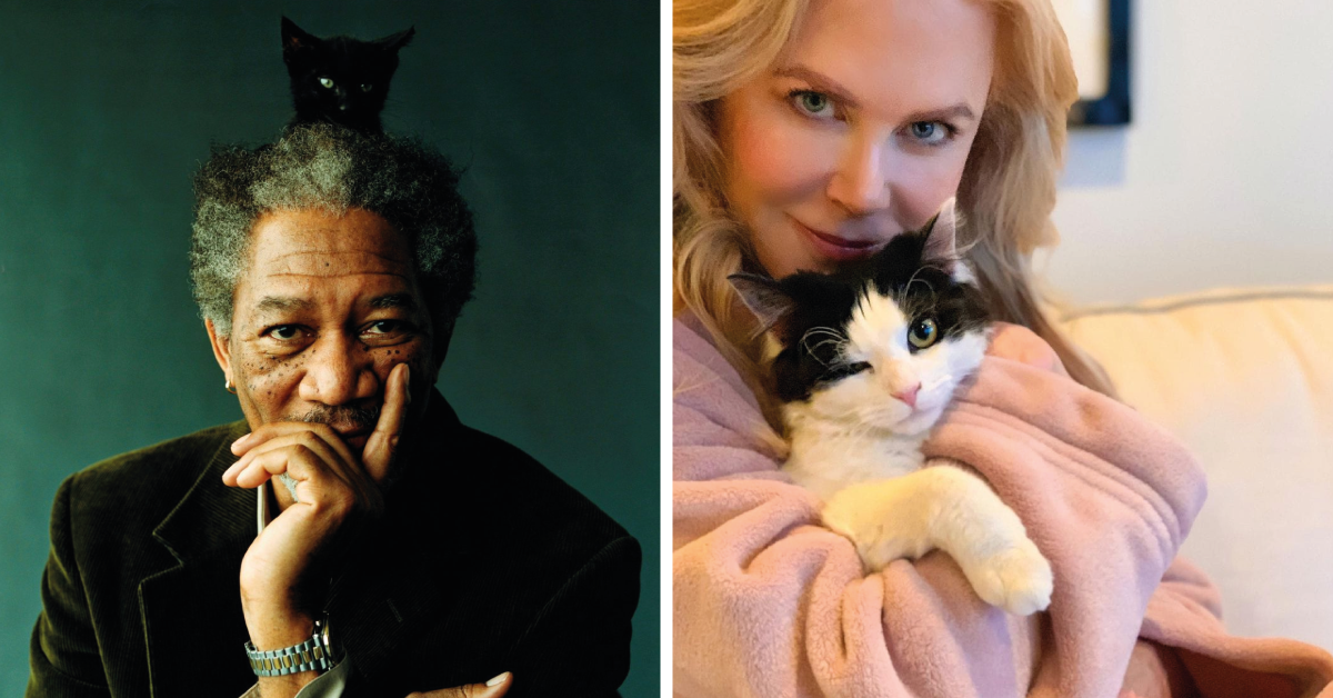 15 adorables fotos de celebridades con sus gatos