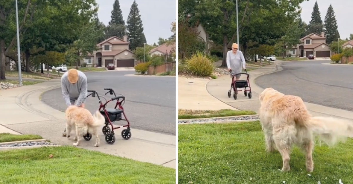 Abuelito visita todos los días al perro de su vecino quien lo recibe moviendo la cola.