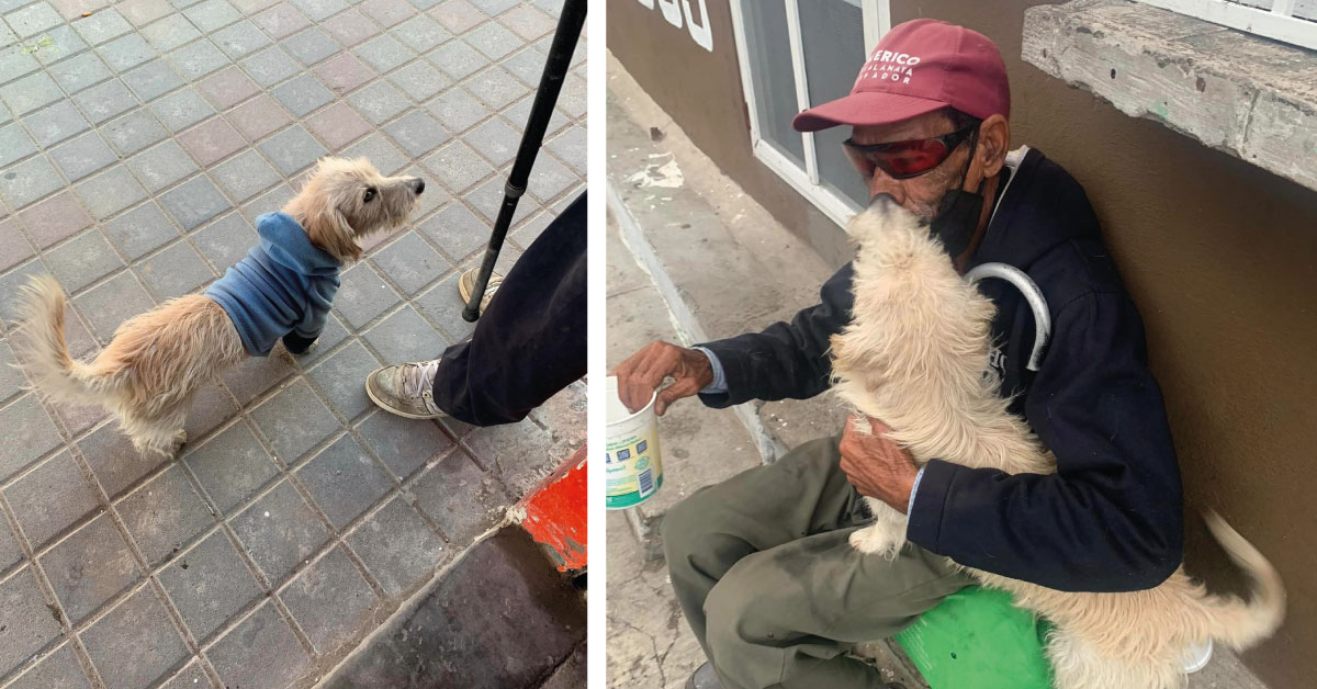 Abuelito ciego tiene un tierno reencuentro con su perrito perdido: «ya no te vayas»