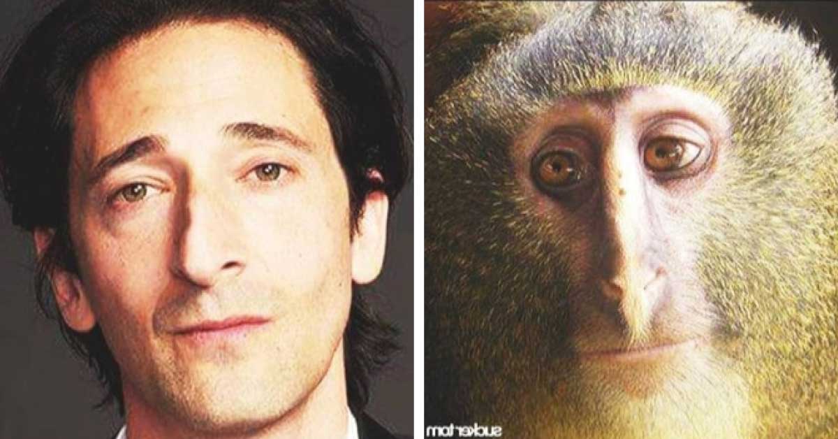 14 animales que son idénticos a celebridades