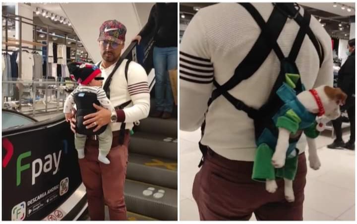 Se vuelve viral por llevar a su hijo y perrito en cangurera mientras va de compras