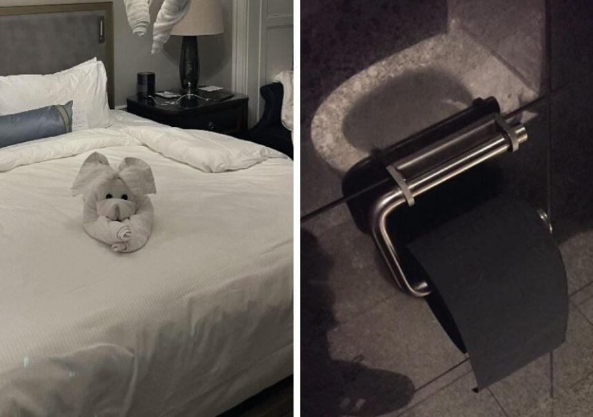 17 viajeros que recibieron una curiosa sorpresa en sus habitaciones de hotel