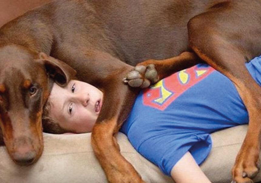 15 fotos que demuestran que las mascotas no conocen el espacio personal.