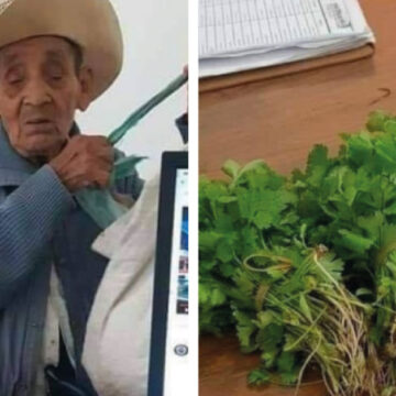 Abuelito de 80 años conmueve en redes: quiso pagar su trámite en el registro con cilantro