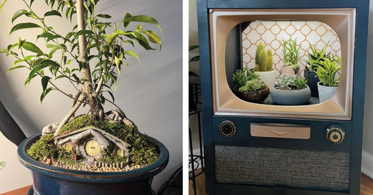 16 personas que demostraron su amor por las plantas a través de su creatividad