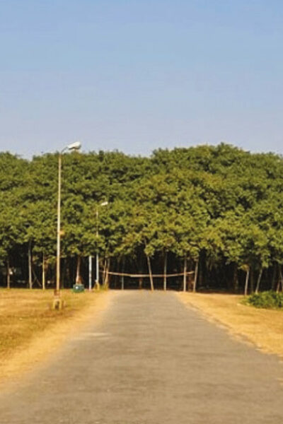 El sorprendente bosque en la India de 19.000 metros cuadrados formado por UN SOLO árbol