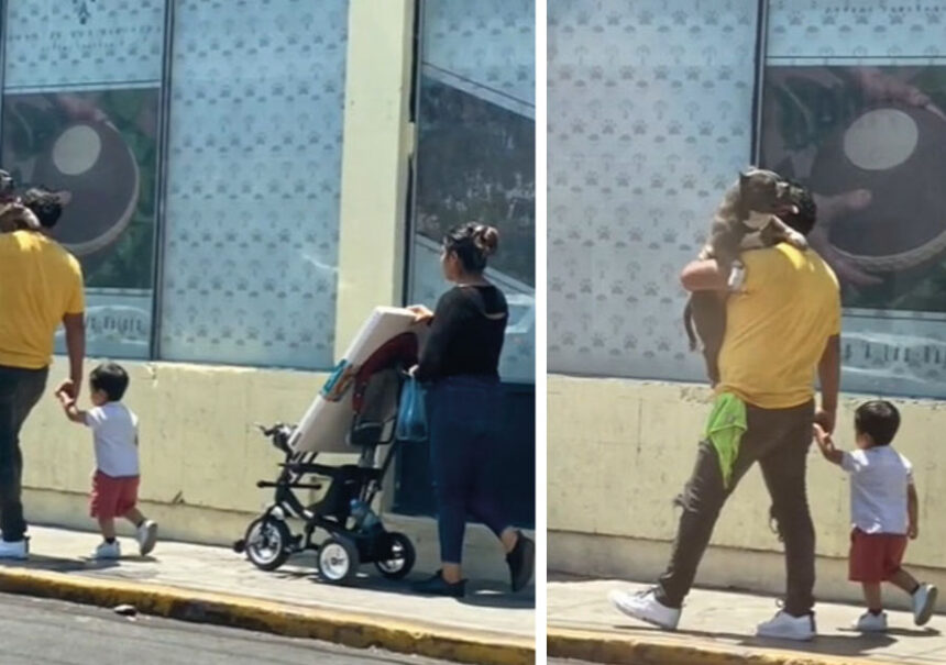 Hombre carga a su perrito para proteger sus patitas del clima caluroso